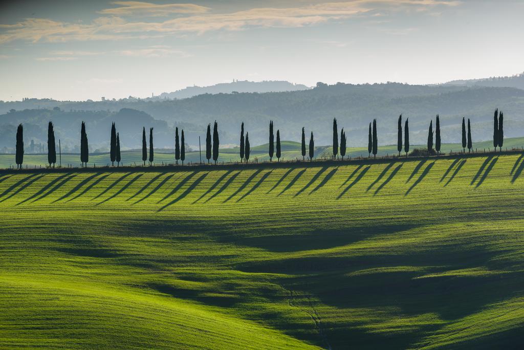 Podere Ampella Villa San Giovanni d'Asso Exterior photo